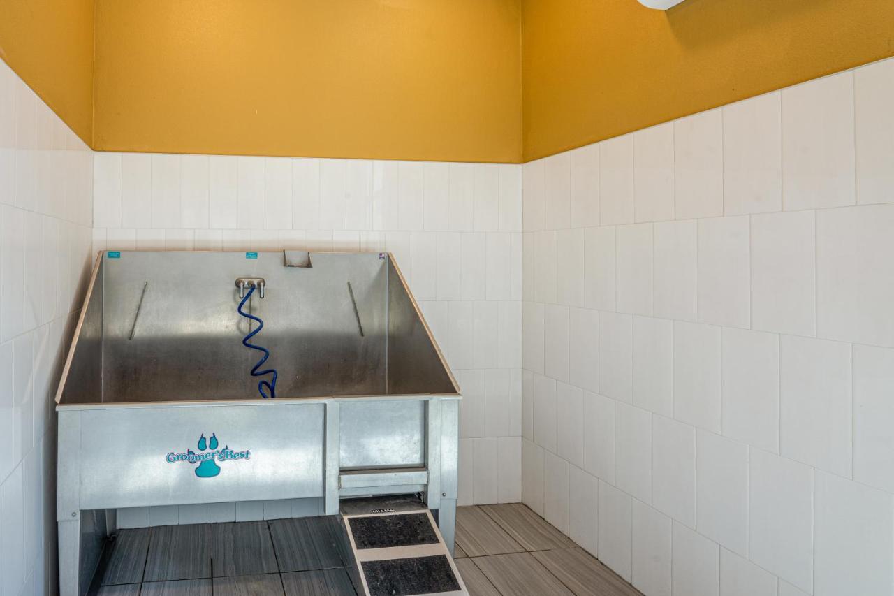 LeanderLuxe 3B/2B Getaway - Pool, Gym, Parking, Pet Washアパートメント エクステリア 写真